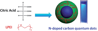 Graphical abstract: One-step preparation of nitrogen-doped and surface-passivated carbon quantum dots with high quantum yield and excellent optical properties