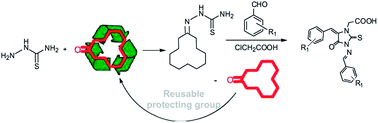 Graphical abstract: Cyclododecanone as a recyclable protecting group for the synthesis of highly functionalized 3-amino-2-thiohydantoins from conventional starting materials