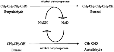 Graphical abstract: A green process for the production of butanol from butyraldehyde using alcohol dehydrogenase: process details