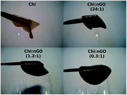 Graphical abstract: Chitin hybrid materials reinforced with graphene oxide nanosheets: chemical and mechanical characterisation