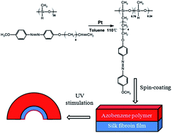 Graphical abstract: Photomechanical bending of linear azobenzene polymer