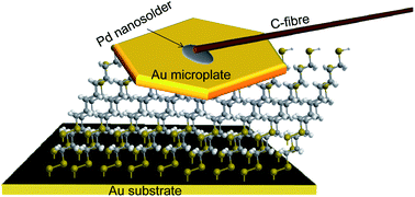 Graphical abstract: Top-contacting molecular monolayers using single crystalline Au microplate electrodes