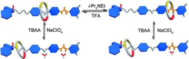 Graphical abstract: Phosphine oxide functional group based three-station molecular shuttle