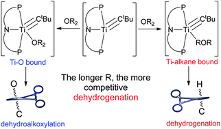 Graphical abstract: Understanding the competitive dehydroalkoxylation and dehydrogenation of ethers with Ti–C multiple bonds