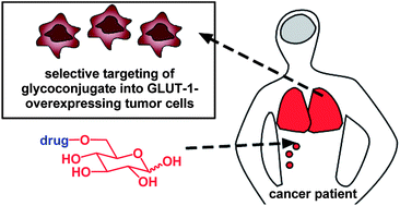 Graphical abstract: Glucose conjugation for the specific targeting and treatment of cancer
