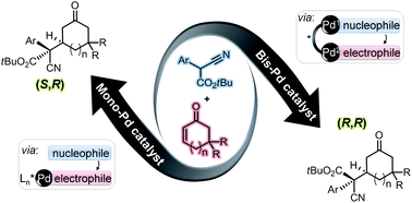 Graphical abstract: Asymmetric Michael additions of α-cyanoacetates by soft Lewis acid/hard Brønsted acid catalysis: stereodivergency with bi- vs. monometallic catalysts