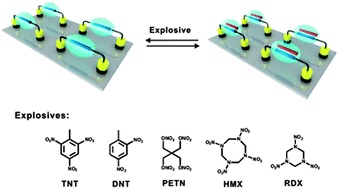 Graphical abstract: CB[8]-based rotaxane as a useful platform for sensitive detection and discrimination of explosives