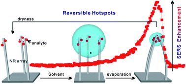 Graphical abstract: Capillarity-constructed reversible hot spots for molecular trapping inside silver nanorod arrays light up ultrahigh SERS enhancement