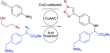 Graphical abstract: Cu(i)-catalysed N–H insertion in water: a new tool for chemical biology