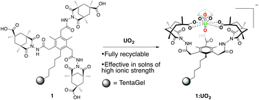 Graphical abstract: Selective recognition and extraction of the uranyl ion from aqueous solutions with a recyclable chelating resin