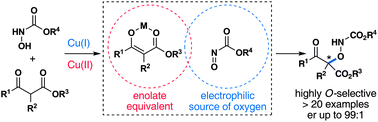 Graphical abstract: Electrophilic α-oxygenation reaction of β-ketoesters using N-hydroxycarbamates: control of the ambident reactivity of nitrosoformate intermediates