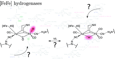 Graphical abstract: Inaccessibility of the μ-hydride species in [FeFe] hydrogenases