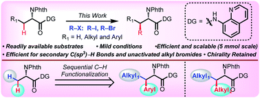 Graphical abstract: Pd(ii)-catalyzed alkylation of unactivated C(sp3)–H bonds: efficient synthesis of optically active unnatural α-amino acids