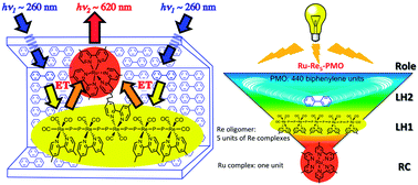 Graphical abstract: Efficient light harvesting via sequential two-step energy accumulation using a Ru–Re5 multinuclear complex incorporated into periodic mesoporous organosilica