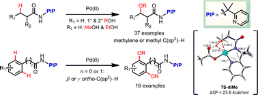 Graphical abstract: Pd(ii)-catalyzed alkoxylation of unactivated C(sp3)–H and C(sp2)–H bonds using a removable directing group: efficient synthesis of alkyl ethers