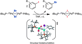 Graphical abstract: Dinuclear Pd(i) complexes—solely precatalysts? Demonstration of direct reactivity of a Pd(i) dimer with an aryl iodide
