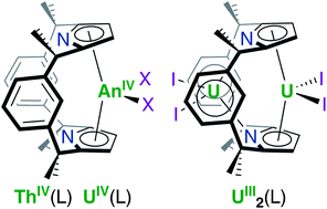 Graphical abstract: Switchable π-coordination and C–H metallation in small-cavity macrocyclic uranium and thorium complexes