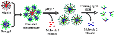 Graphical abstract: Composite supramolecular nanoassemblies with independent stimulus sensitivities