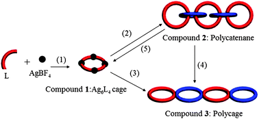 Graphical abstract: A controllable and dynamic assembly system based on discrete metallocages