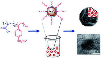 Graphical abstract: One-pot synthesis of an inorganic heterostructure: uniform occlusion of magnetite nanoparticles within calcite single crystals
