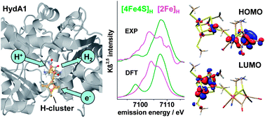 Graphical abstract: Electronic and molecular structures of the active-site H-cluster in [FeFe]-hydrogenase determined by site-selective X-ray spectroscopy and quantum chemical calculations