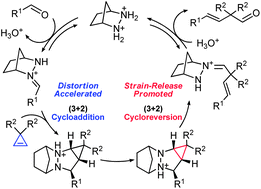 Graphical abstract: Distortion-accelerated cycloadditions and strain-release-promoted cycloreversions in the organocatalytic carbonyl-olefin metathesis