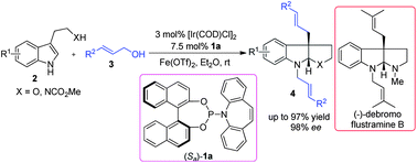 Graphical abstract: Ir-catalyzed intermolecular asymmetric allylic dearomatization reaction of indoles