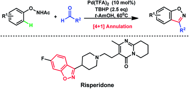 Graphical abstract: Palladium-catalyzed benzo[d]isoxazole synthesis by C–H activation/[4 + 1] annulation