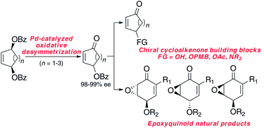 Graphical abstract: Asymmetric synthesis of chiral cycloalkenone derivatives via palladium catalysis