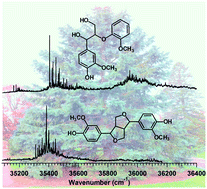 Graphical abstract: Single-conformation UV and IR spectroscopy of model G-type lignin dilignols: the β–O–4 and β–β linkages