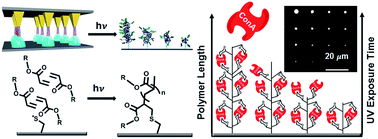 Graphical abstract: Beam pen lithography as a new tool for spatially controlled photochemistry, and its utilization in the synthesis of multivalent glycan arrays