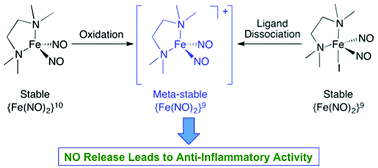 Graphical abstract: Coordination-triggered NO release from a dinitrosyl iron complex leads to anti-inflammatory activity