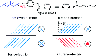 Graphical abstract: Ferroelectric and antiferroelectric odd–even behavior in a tricarbosilane-terminated liquid crystal homologous series