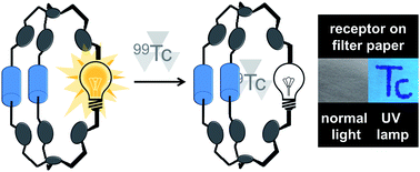 Graphical abstract: Fluorescent sensing of 99Tc pertechnetate in water