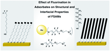 Graphical abstract: The impact of fluorination on the structure and properties of self-assembled monolayer films