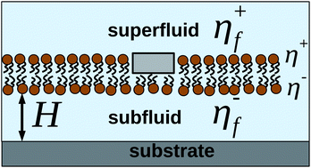 Graphical abstract: Diffusion of complex objects embedded in free and supported lipid bilayer membranes: role of shape anisotropy and leaflet structure