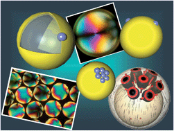 Graphical abstract: Microparticles confined to a nematic liquid crystal shell