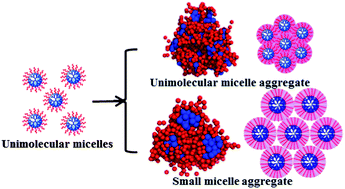 Graphical abstract: Dissipative particle dynamics simulation study on the mechanisms of self-assembly of large multimolecular micelles from amphiphilic dendritic multiarm copolymers