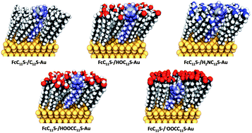 Graphical abstract: Atomistic and energetic descriptions of self-assembled monolayers of differently endgroup-functionalized alkanethiols adsorbed on the gold substrate by using molecular simulations
