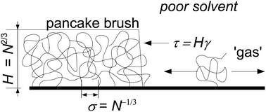 Graphical abstract: On the collapse transition of a polymer brush: the case of lateral mobility