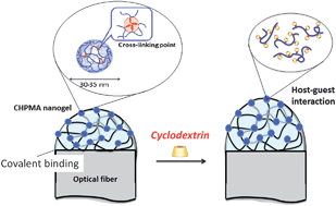 Graphical abstract: Cyclodextrin triggered dimensional changes of polysaccharide nanogel integrated hydrogels at nanometer resolution