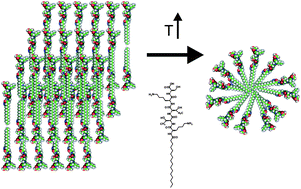 Graphical abstract: Self-assembly of a peptide amphiphile: transition from nanotape fibrils to micelles