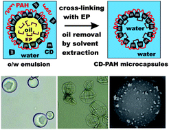 Graphical abstract: Fabrication of novel cyclodextrin-polyallylamine hydrochloride co-polymeric microcapsules by templating oil-in-water emulsions