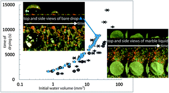 Graphical abstract: How coatings with hydrophobic particles may change the drying of water droplets: incompressible surface versus porous media effects