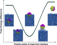Graphical abstract: The effect of capillary bridging on the Janus particle stability at the interface of two immiscible liquids