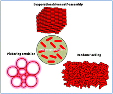 Graphical abstract: Shape anisotropic colloids: synthesis, packing behavior, evaporation driven assembly, and their application in emulsion stabilization