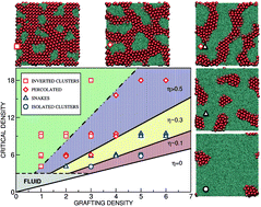 Graphical abstract: Collective ordering of colloids in grafted polymer layers
