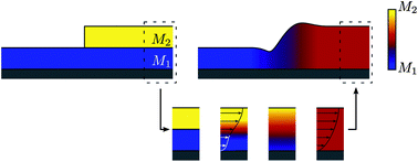 Graphical abstract: Capillary leveling of stepped films with inhomogeneous molecular mobility