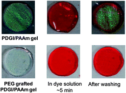 Graphical abstract: Lamellar–micelle transition in a hydrogel induced by polyethylene glycol grafting