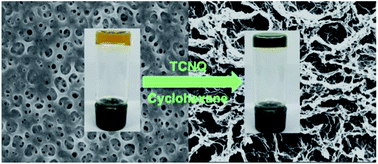 Graphical abstract: Supramolecular gels based on monopyrrolotetrathiafulvalene and its TCNQ charge-transfer complex